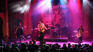 Mustard Plug   Thigh High Nylons