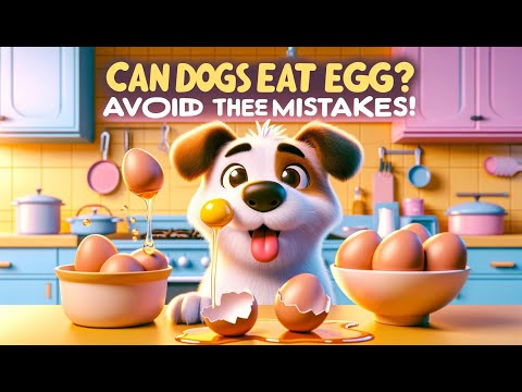 The Safe Way to Feed Your Dog Eggs 🥚🐶