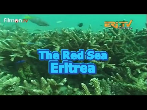 Red Sea Resources (Eritrea)
