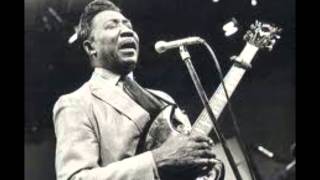 Muddy Waters - My Life is Ruined