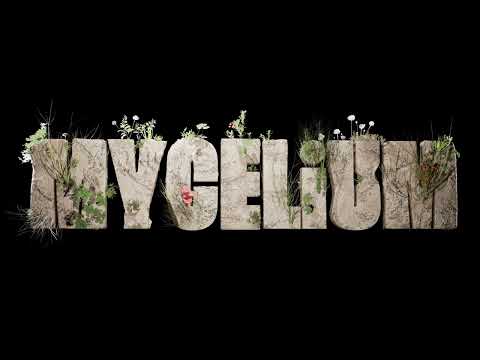 Video thumbnail for Before the Bloom (Intro)