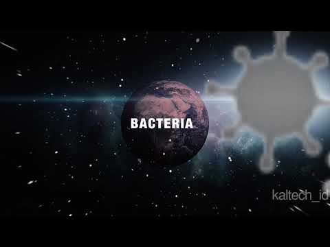 KL-W01, KL-P01. Anti Virus 99.99%. Kaltech Photocalystic sterilization deodorization device.