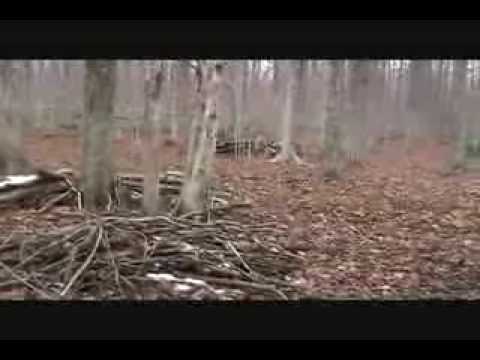 Operation Milsim In Game Action: The Eh Team CTS Season 1 Event 4