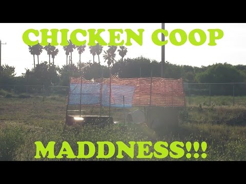 CHICKEN EXTRAVAGANZA!! {Day 196 - 5.23.15}