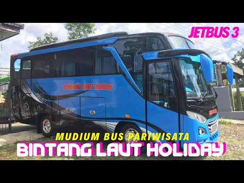 BLUE OCEAN || Medium Bus Pariwisata Bintang Laut Holiday Video