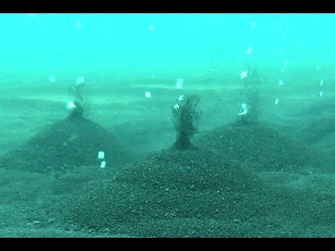 Kleifarvatn Tauchen in vulkanischem Inlandssee, Kleifarvatn,Island