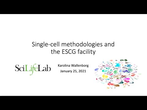 01 Single Cell Technologies — 03 SMARTseq