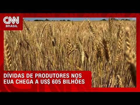 Dívida agrícola nos EUA atinge recorde de US$ 605 bilhões | CNN AGRO NEWS