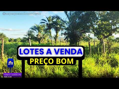 TERRENOS, LOTES A VENDA NO MUNICÍPIO DE GARANHUNS-PE  #sitio