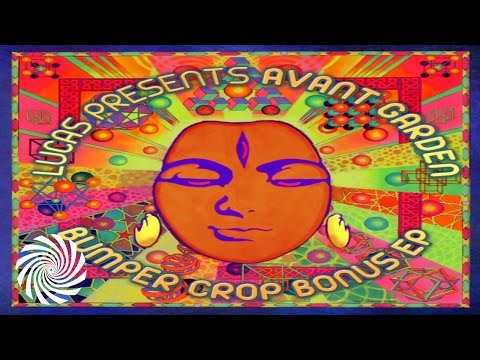 Lucas O'Brien & Space Tribe - Magic Carpet Ride