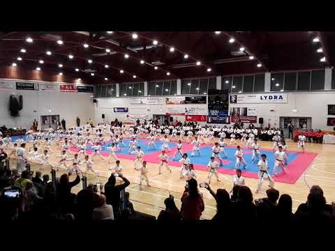 Dimostrazione nazionale karate Torri di Quartesolo