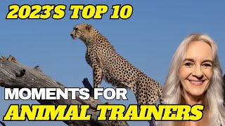 Top 10 Animal Training Moments: Unveiling Valuable Lessons Learned!