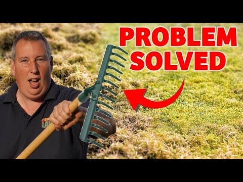 Is Your Lawn Spongy And Difficult to Mow? Here's The Fix!