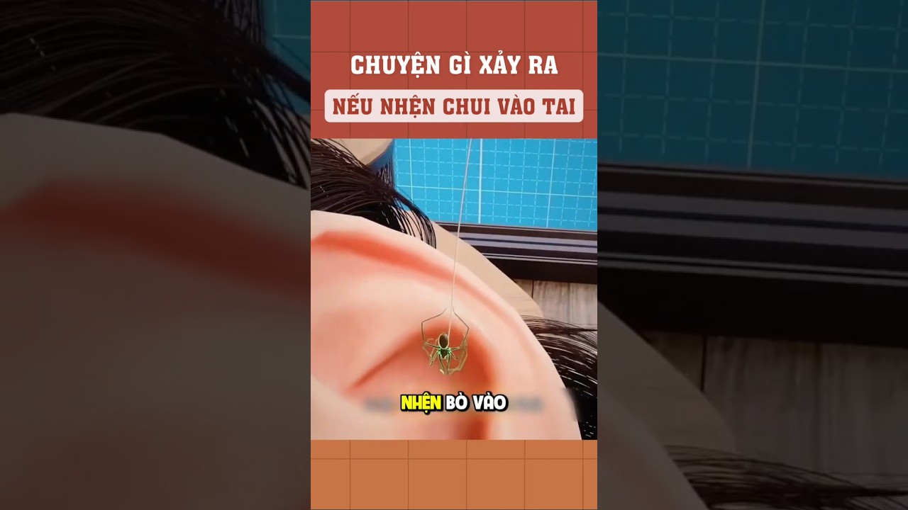 Chuyện gì xảy ra nếu nhện chui vào tai?