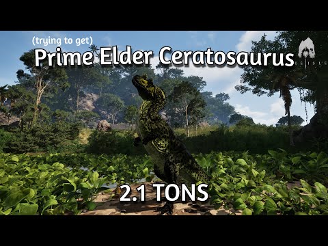 Trying To Get 2.1 Ton Prime Elder Cerato