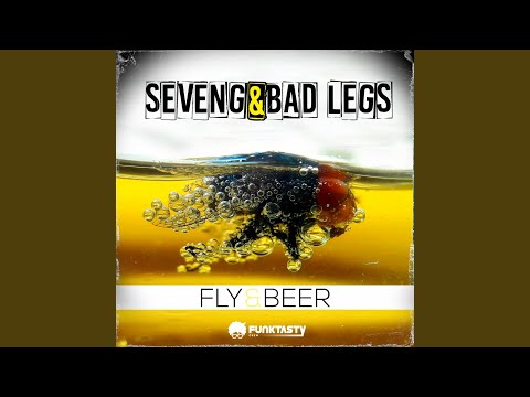 Fly & Beer