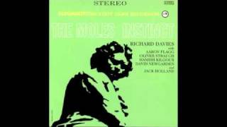 The Moles - The Crasher