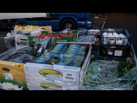 Corona-Einreise-Verordnung: Versorgungsengpässe befürchtet! Drohen leere Regale im Handel?