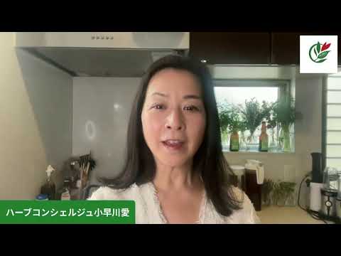 医療ビジネス薬科学科 ハーブでご機嫌マインドを作るWeek