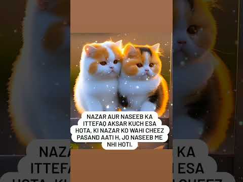 #short #naseeb #cats  #nazar 😌