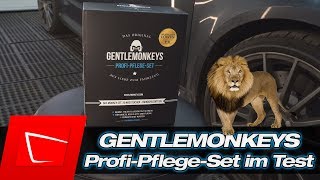 GentleMonkeys Gentlewipes aus die Höhle der Löwen im Test - Auto waschen ohne Wasser!