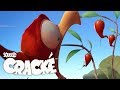 CRACKE - HOT PEPPER PANIC | Compilation | Cartoon for kids