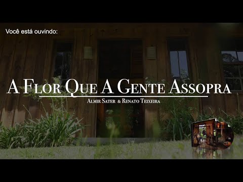 A Flor Que A Gente Assopra video