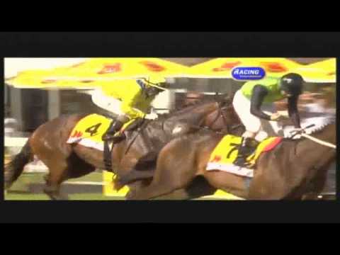 HILL FIFTY FOUR J&B MET Grade 1 01 FEB 2014 SA