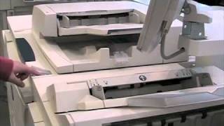 Ludo-Anything For You