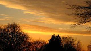 Fieldtree - Fake Days