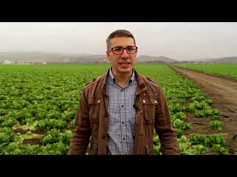 テイラーファームズはシクロスポラ症の発生前にどのようにサラダの巨人になったのか (How Taylor Farms became a salad giant before cyclosporiasis outbreak)