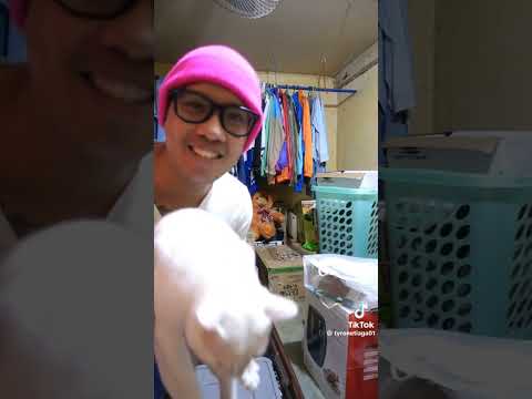 Blue the Cat Compilation of Tyrone tiaga cat