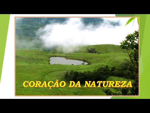 Coração Da Natureza video