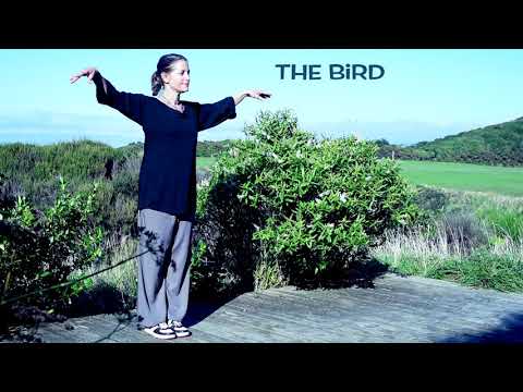 REVIEW : Tai Chi 5 minutes a Day - Module 4 long version with extra silent practice