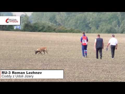 Ru 3 Lezhnev Roman FCI 2019 track 95 b.