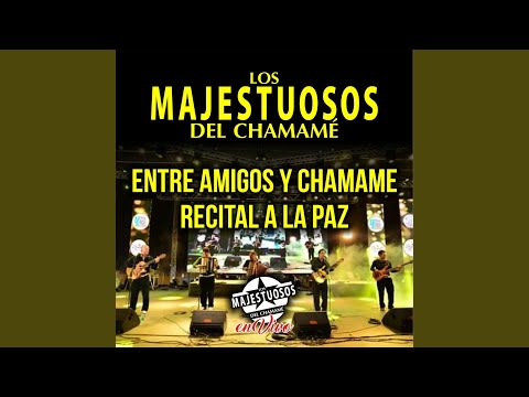 Entre Amigos y Chamamé / Recital a la Paz (En Vivo)