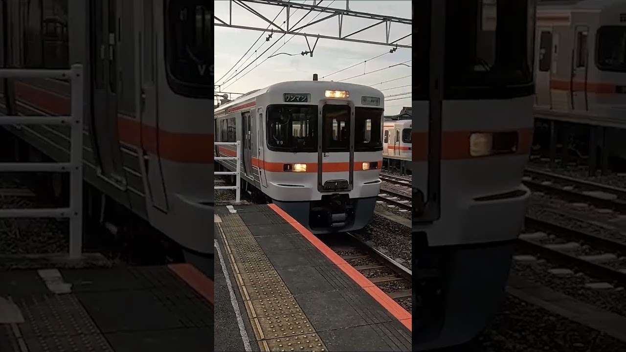 The CRAZY Japan Detour: Shizuoka ➡️ Tokyo