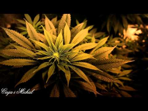 Cieja & MichalTOS - Palimy to!