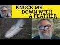 You Could Have Knocked Me Down With a Feather ...