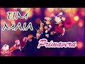 ♪♫ Tim Maia ♬ Primavera (Vai Chuva) (LEGENDADO)
