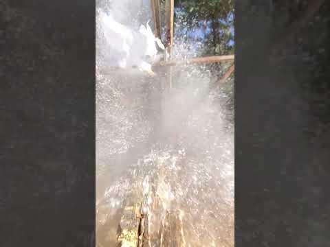 Federal Non-Typical/Power-Shok 150gr .308 Soft Point (Is It Accurate?)