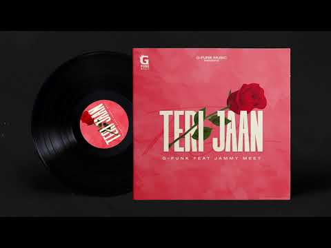 Teri Jaan