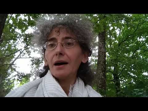 Dear BBC: I want Peter Curran's youtube channel back