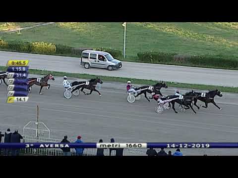 Aversa trotto 14 Dicembre 2019 - 3° Corsa