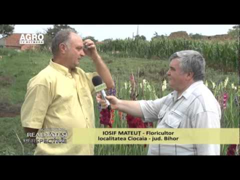 Realitati 17 08 2014 ImportamFloriDePeste20MilioaneEuro