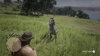 Red Dead Redemption 2: How to break, tame and ride a wild horse.