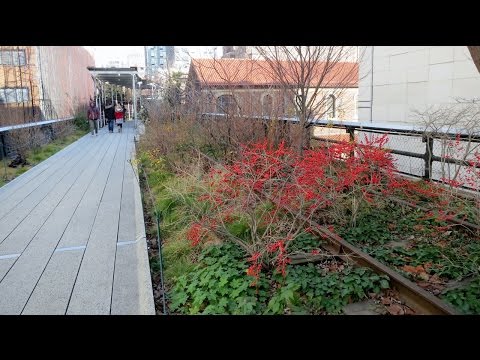 High Line Park (New York City)