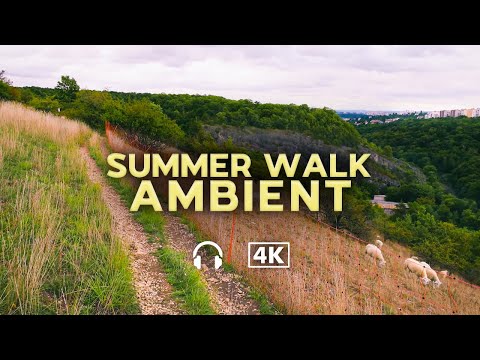 A walk to the highest viewpoint in Prague. [Europe] Beautiful cozy nature in 4K