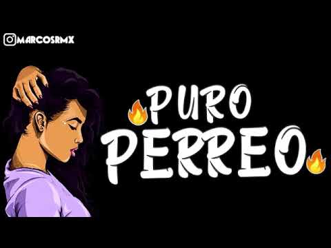 PURO PERREO #9🔥 |BRASILERO 2019| MARCOS RMX