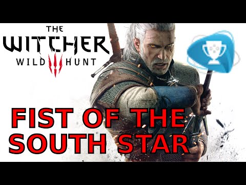 The Witcher 3  Fist of the south star trophy achievement